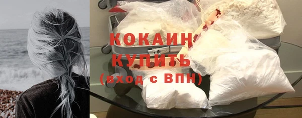 ГАЛЛЮЦИНОГЕННЫЕ ГРИБЫ Аркадак