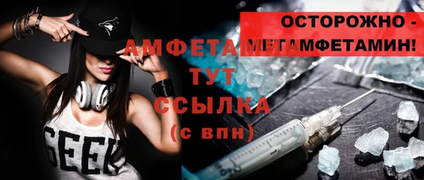 ГАЛЛЮЦИНОГЕННЫЕ ГРИБЫ Аркадак