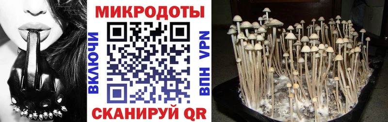 МЕГА зеркало  Нижний Ломов  Псилоцибиновые грибы мухоморы 